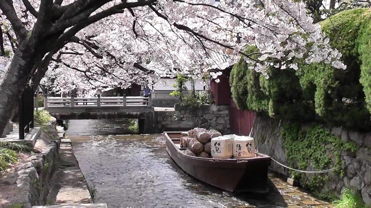 Kyoto Miyabi Hotell Eksteriør bilde